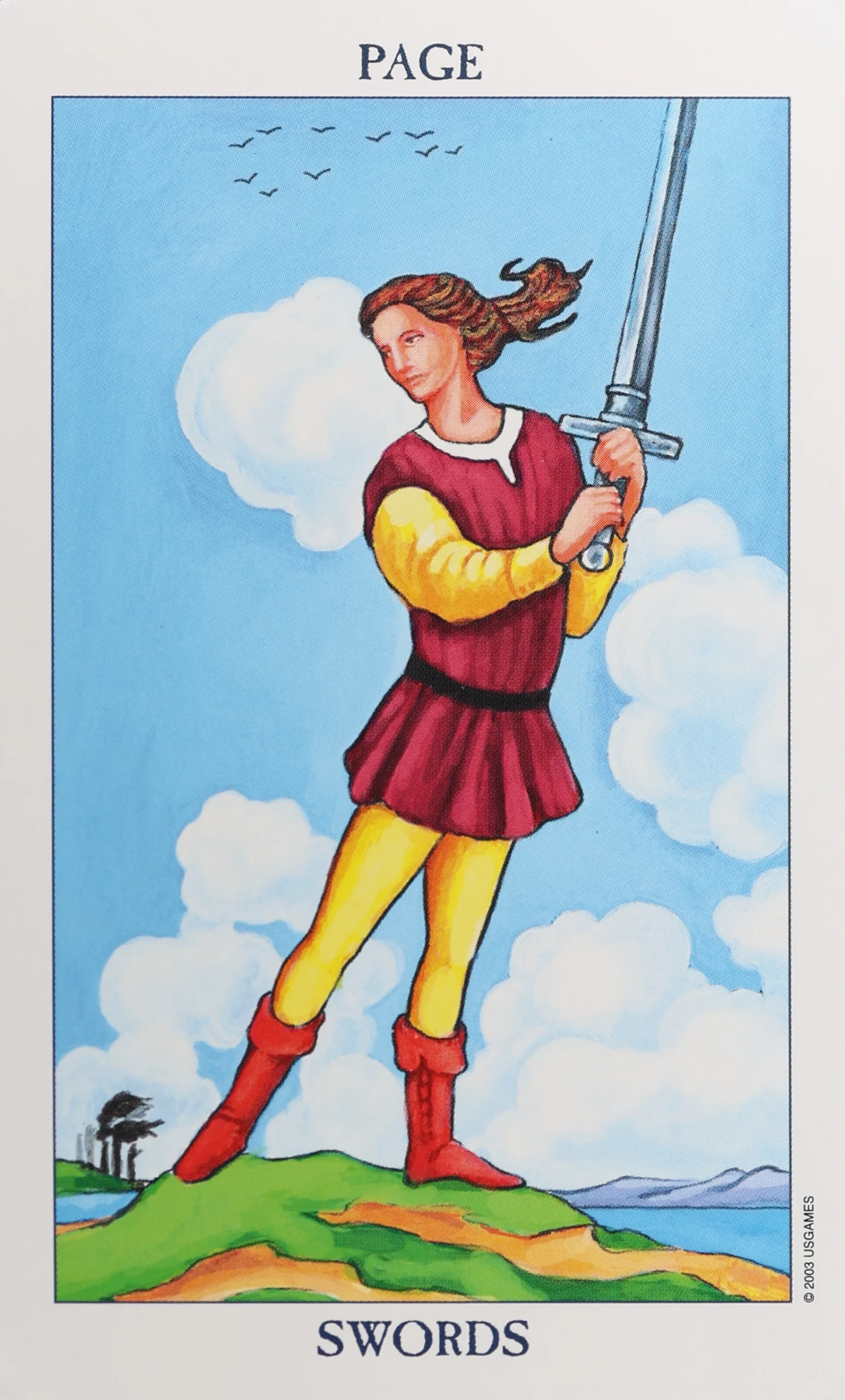 Page of Swords