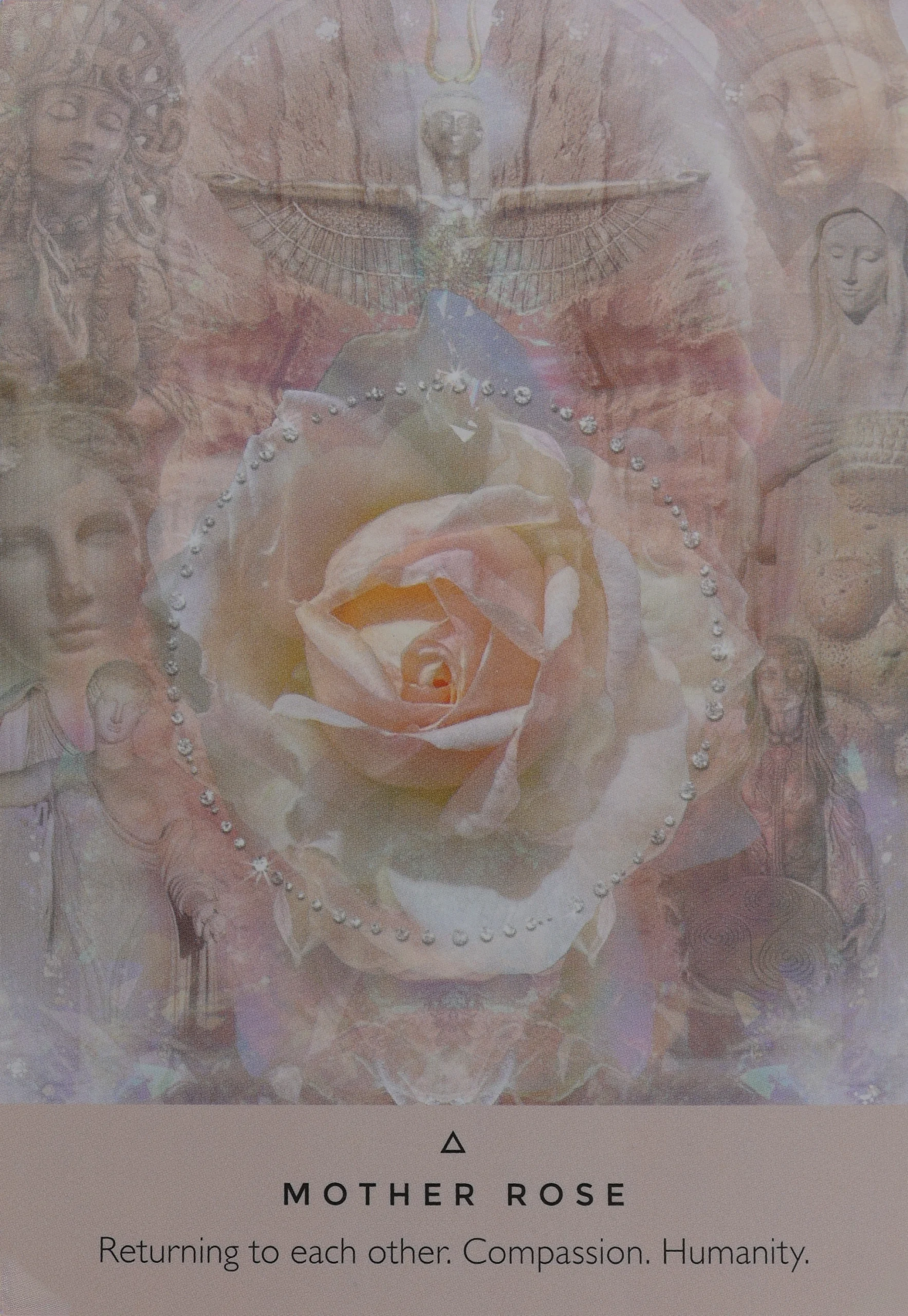 Mother Rose