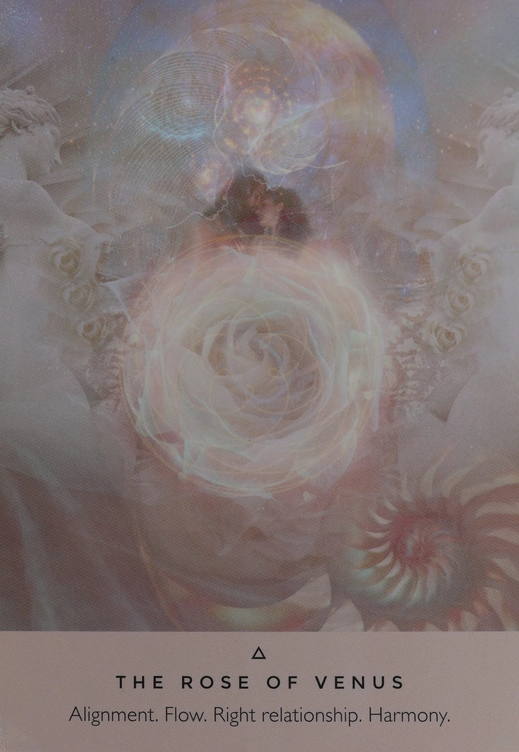 The Rose of Venus