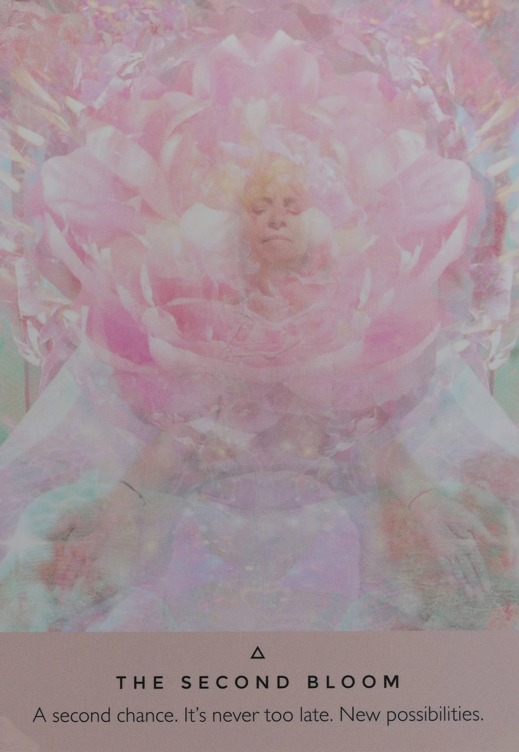 The Second Bloom