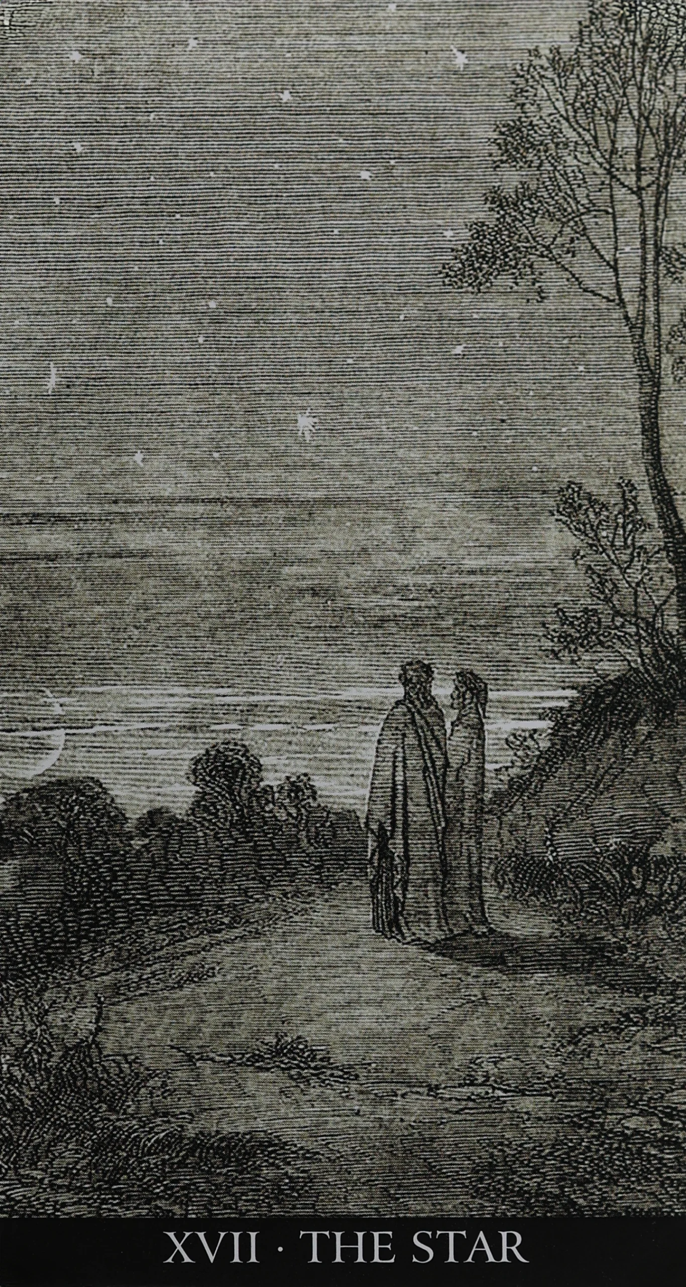 The Star