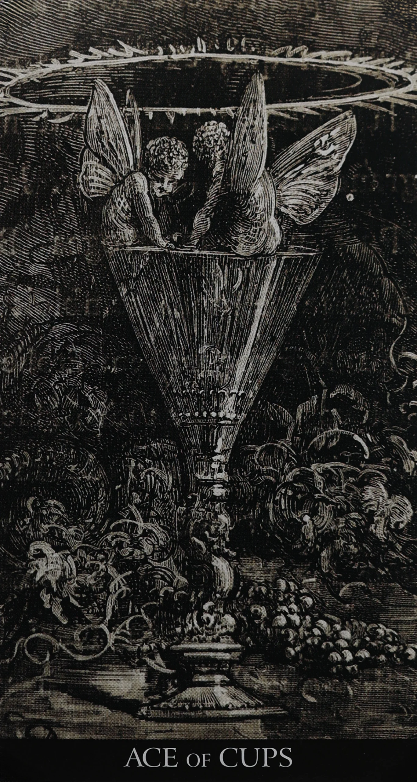 Ace of Cups