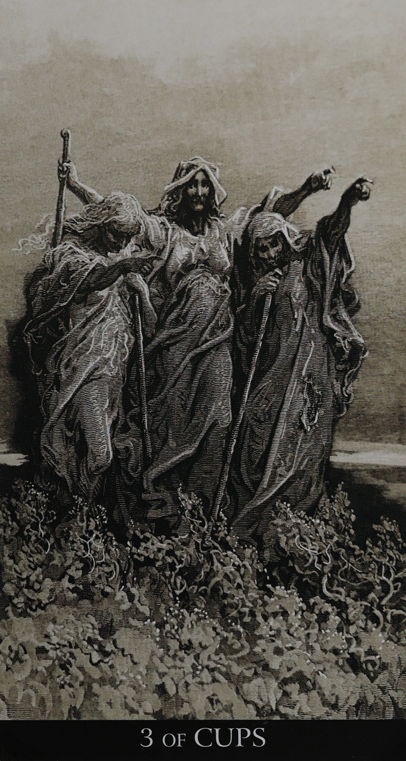 3 of Cups