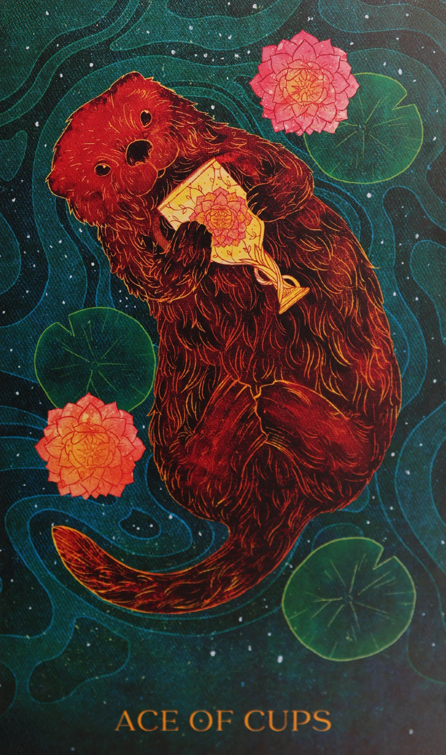 Ace of Cups