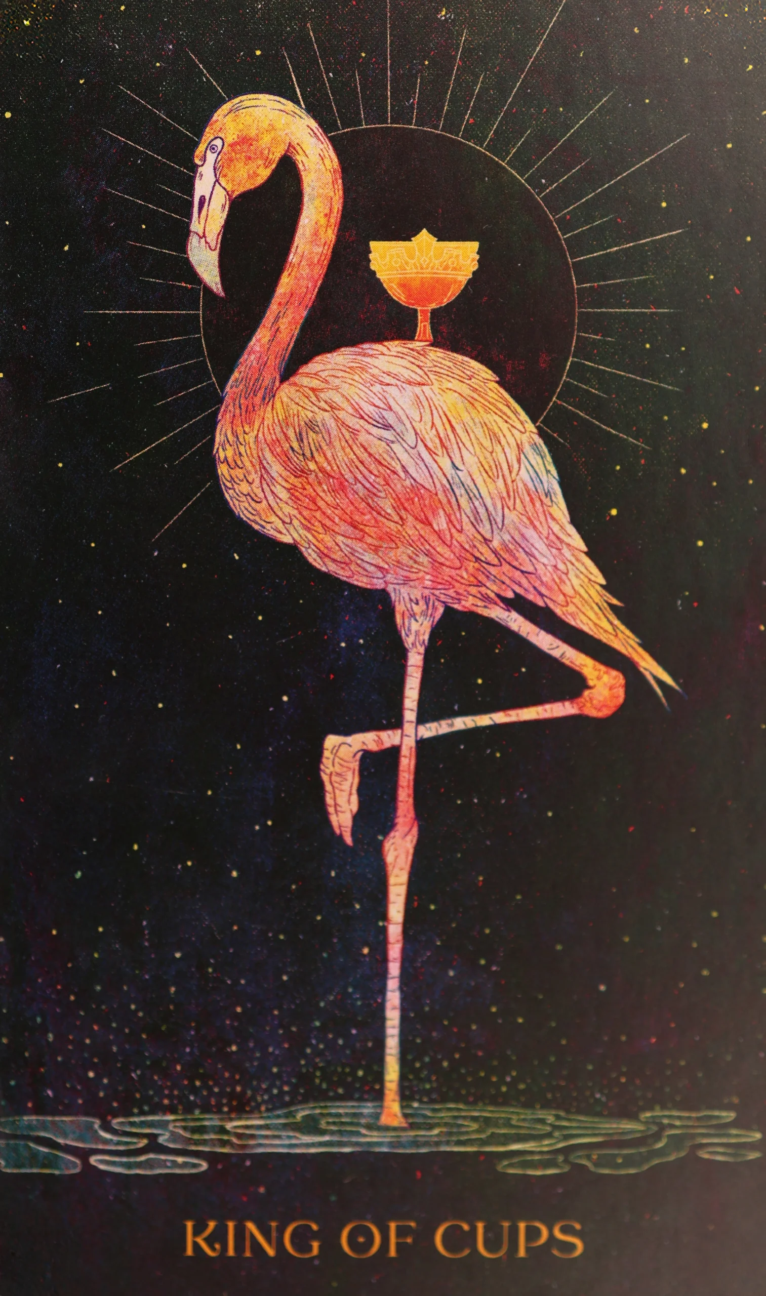 King of Cups