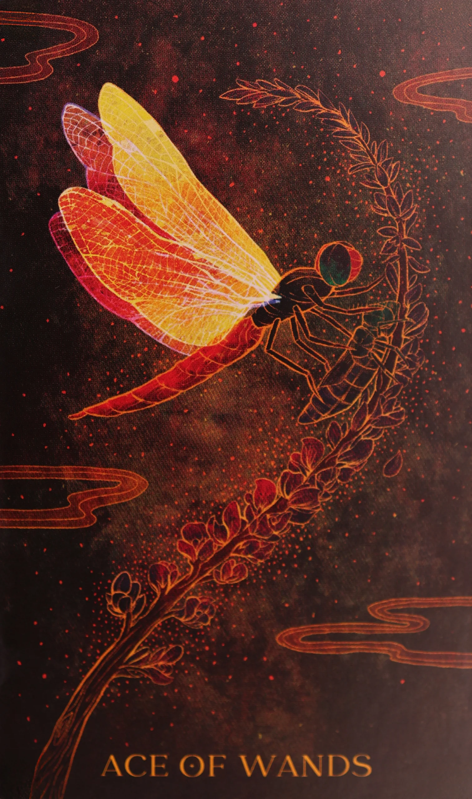 Ace of Wands