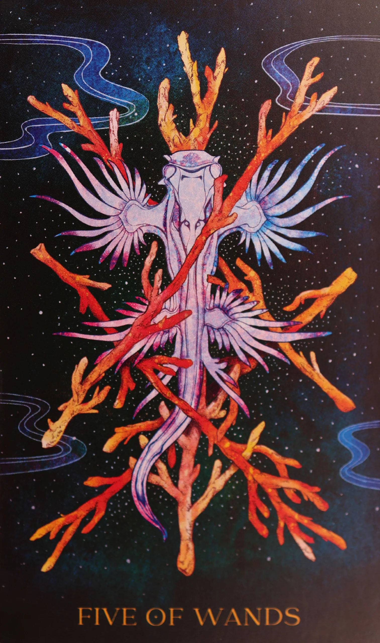 Five of Wands