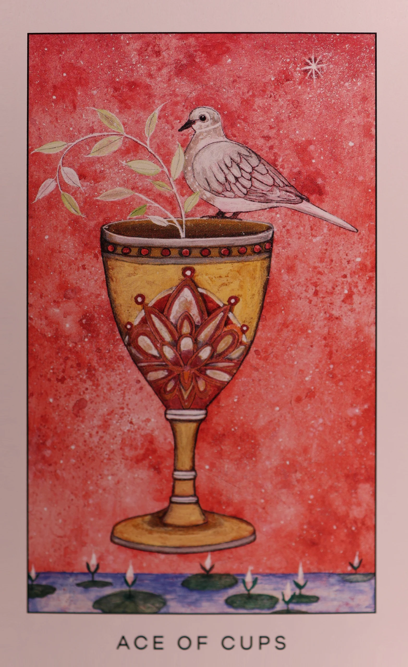 Ace of Cups
