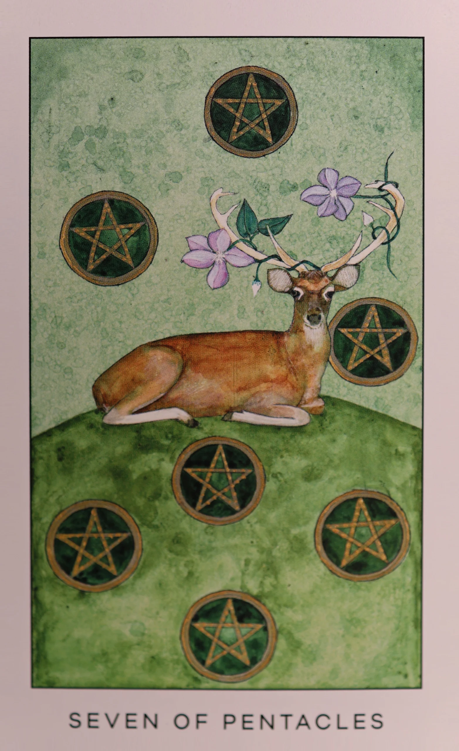 Seven of Pentacles