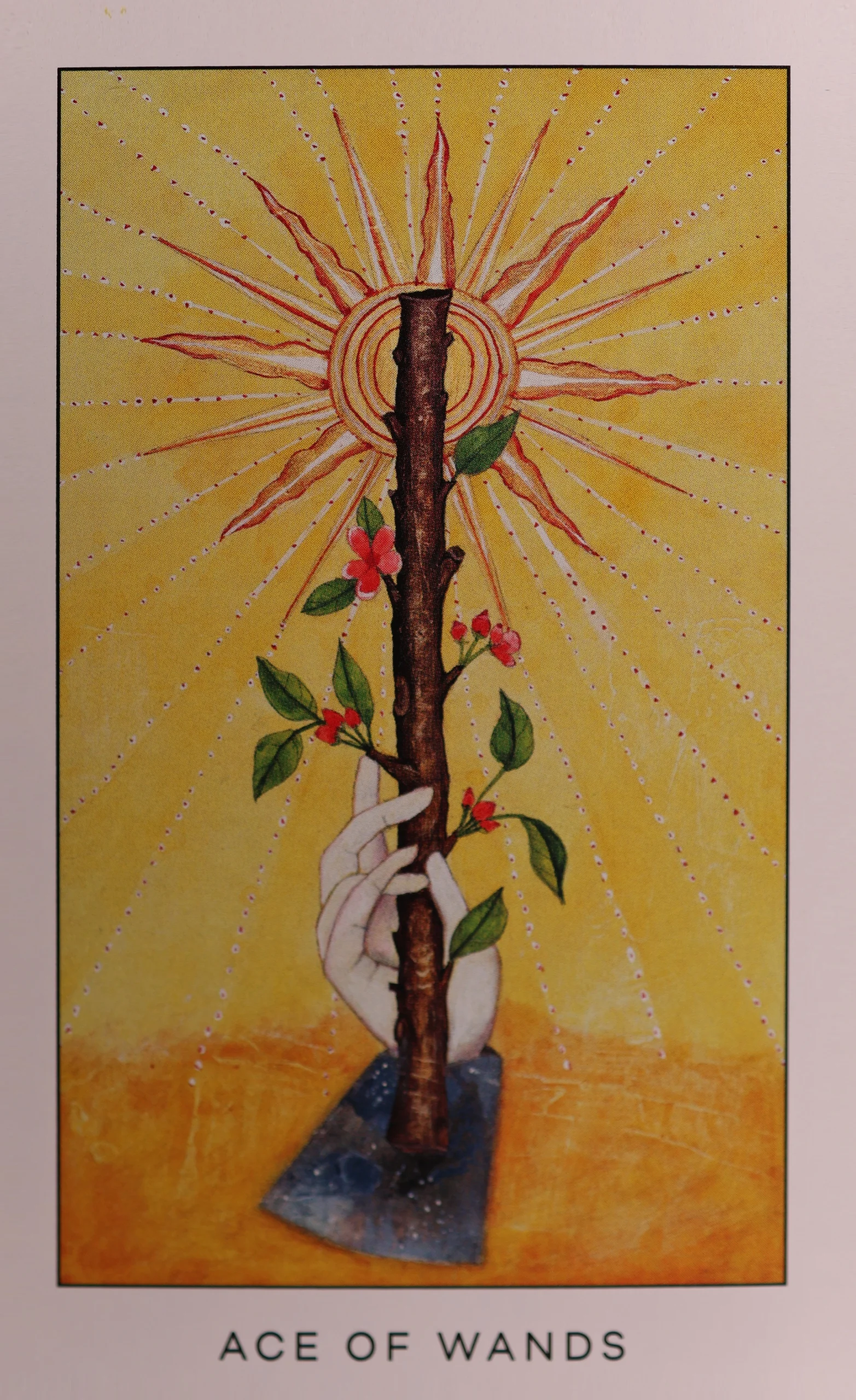 Ace of Wands